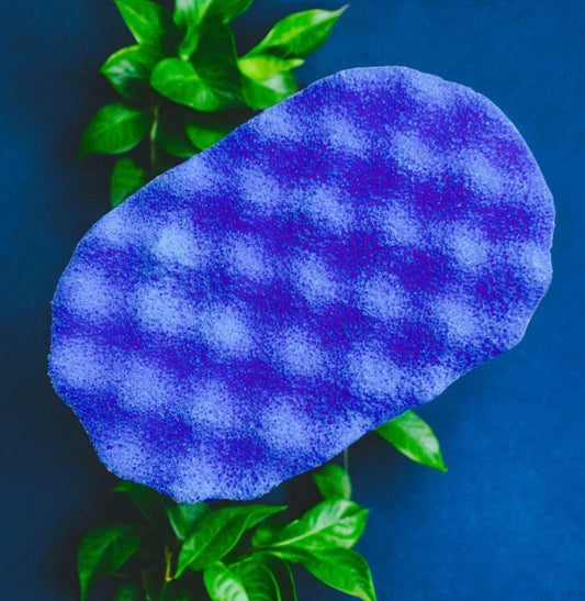 Savage Soap Sponge
