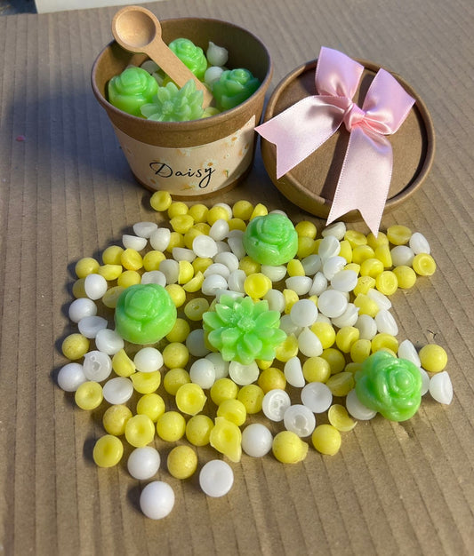 Daisy Scoopie Pot